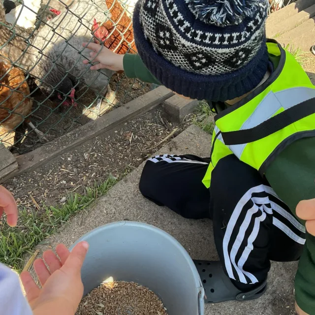 #OwlClass have enjoyed visiting @the_milk_well and feeding the chickens. We look forward to trying the different flavour milk drinks at snack time. 🥛 🐄 🐓